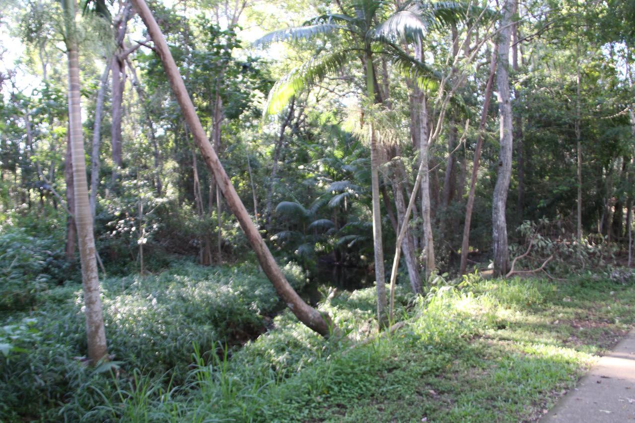 Paperbark Bed & Breakfast Brisbane Eksteriør billede